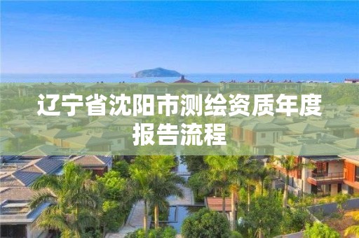 遼寧省沈陽市測繪資質年度報告流程