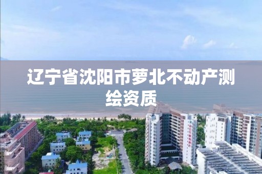 遼寧省沈陽市蘿北不動產測繪資質