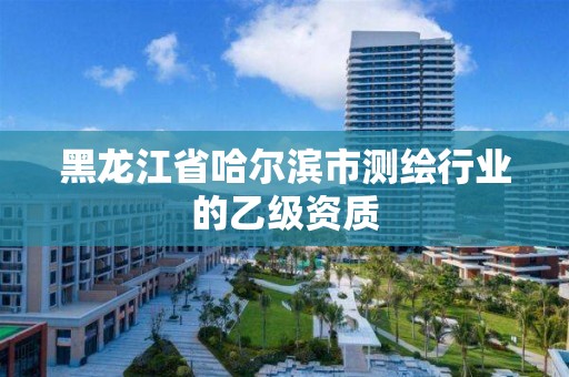 黑龍江省哈爾濱市測繪行業(yè)的乙級資質(zhì)