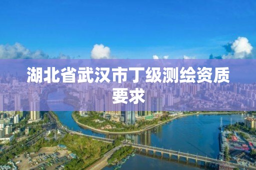 湖北省武漢市丁級測繪資質要求