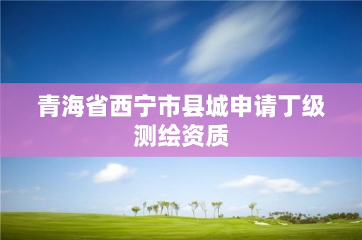 青海省西寧市縣城申請(qǐng)丁級(jí)測(cè)繪資質(zhì)