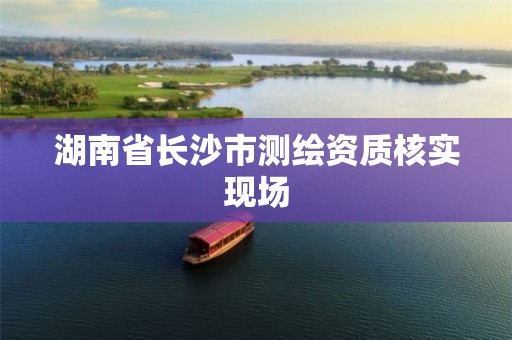 湖南省長(zhǎng)沙市測(cè)繪資質(zhì)核實(shí)現(xiàn)場(chǎng)