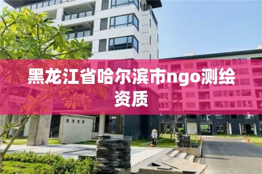 黑龍江省哈爾濱市ngo測繪資質(zhì)