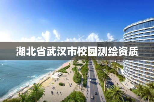 湖北省武漢市校園測繪資質