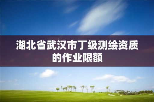 湖北省武漢市丁級測繪資質的作業限額