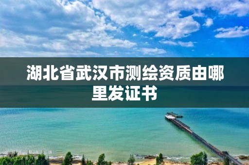 湖北省武漢市測(cè)繪資質(zhì)由哪里發(fā)證書(shū)