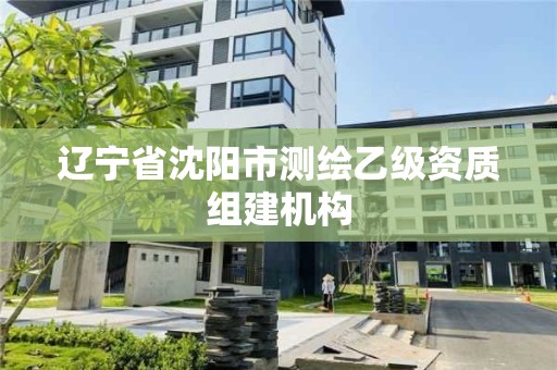 遼寧省沈陽市測繪乙級資質(zhì)組建機(jī)構(gòu)