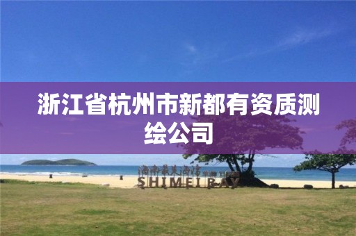 浙江省杭州市新都有資質(zhì)測繪公司