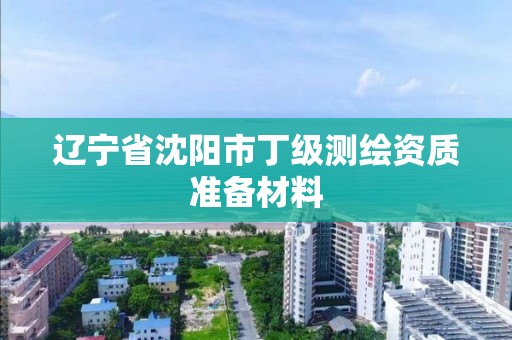 遼寧省沈陽市丁級測繪資質準備材料