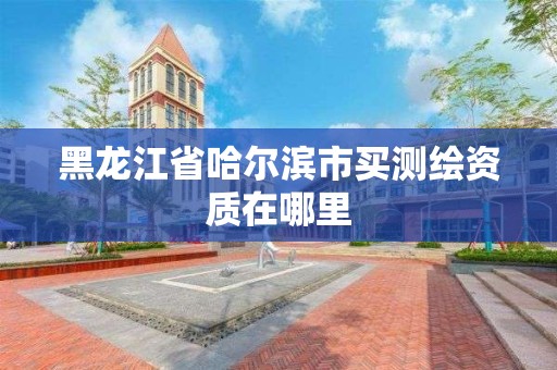 黑龍江省哈爾濱市買測繪資質在哪里