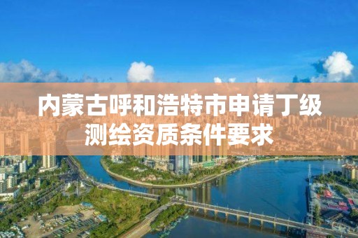 內蒙古呼和浩特市申請丁級測繪資質條件要求