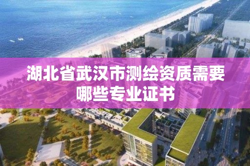 湖北省武漢市測繪資質(zhì)需要哪些專業(yè)證書