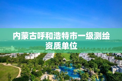 內蒙古呼和浩特市一級測繪資質單位