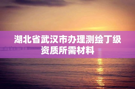 湖北省武漢市辦理測繪丁級資質所需材料