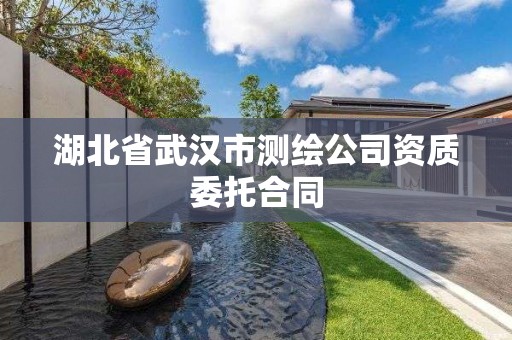 湖北省武漢市測繪公司資質委托合同