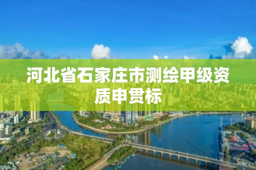 河北省石家莊市測(cè)繪甲級(jí)資質(zhì)申貫標(biāo)