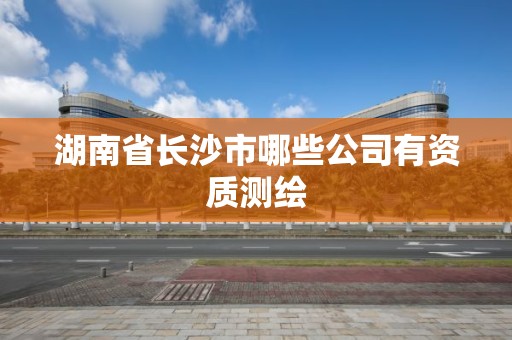 湖南省長沙市哪些公司有資質測繪