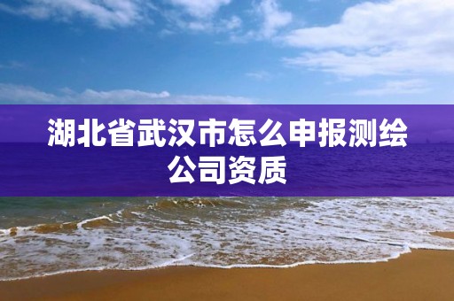 湖北省武漢市怎么申報(bào)測(cè)繪公司資質(zhì)