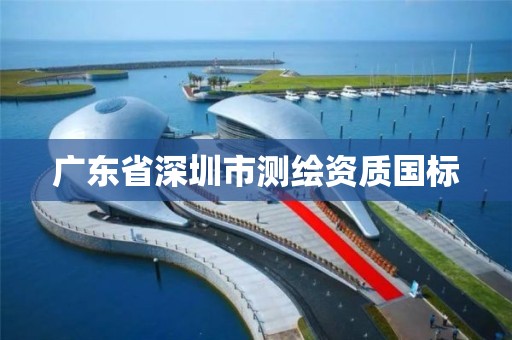 廣東省深圳市測繪資質國標