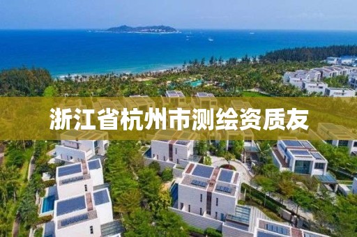 浙江省杭州市測(cè)繪資質(zhì)友