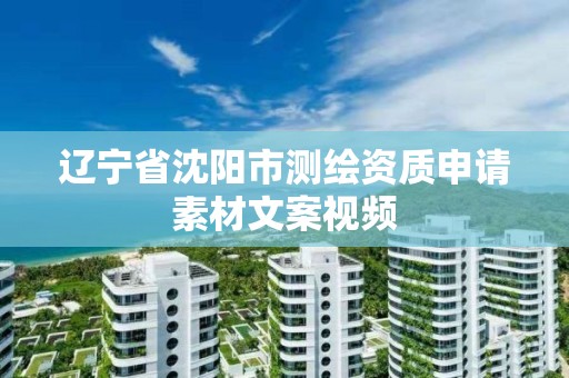 遼寧省沈陽市測繪資質申請素材文案視頻