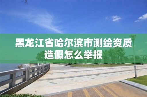 黑龍江省哈爾濱市測繪資質造假怎么舉報