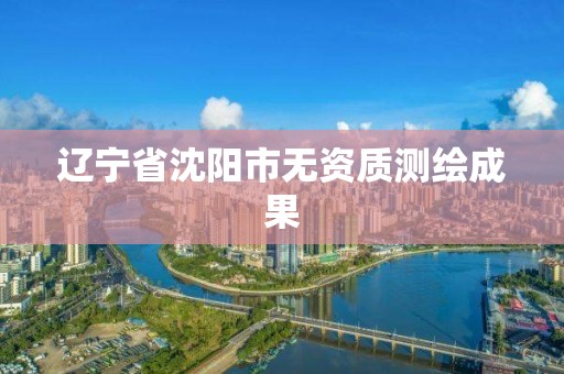 遼寧省沈陽市無資質測繪成果