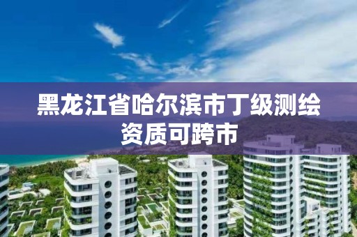 黑龍江省哈爾濱市丁級測繪資質可跨市