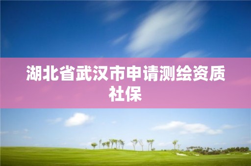 湖北省武漢市申請測繪資質社保