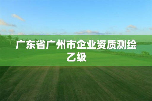 廣東省廣州市企業(yè)資質(zhì)測(cè)繪乙級(jí)