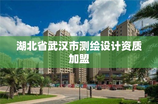 湖北省武漢市測繪設計資質加盟