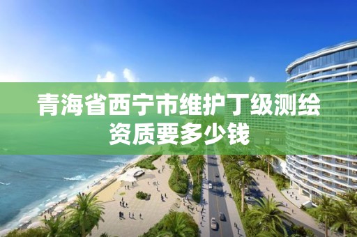 青海省西寧市維護丁級測繪資質要多少錢