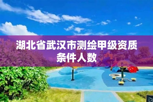 湖北省武漢市測(cè)繪甲級(jí)資質(zhì)條件人數(shù)