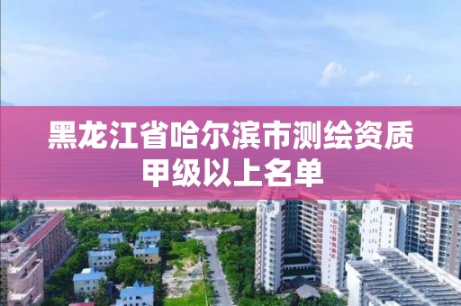 黑龍江省哈爾濱市測繪資質甲級以上名單