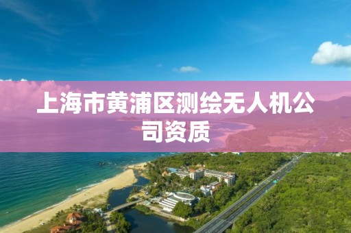 上海市黃浦區測繪無人機公司資質