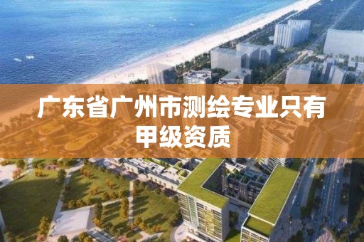 廣東省廣州市測繪專業只有甲級資質