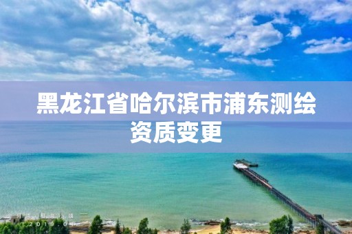 黑龍江省哈爾濱市浦東測繪資質變更