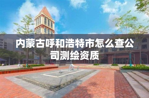 內蒙古呼和浩特市怎么查公司測繪資質