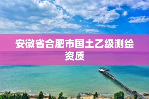 安徽省合肥市國(guó)土乙級(jí)測(cè)繪資質(zhì)