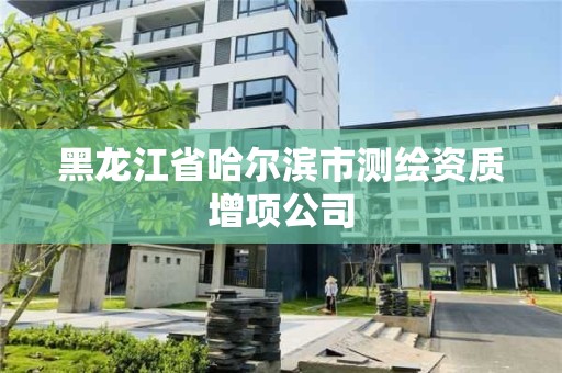 黑龍江省哈爾濱市測繪資質增項公司