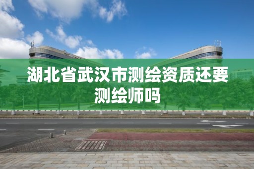 湖北省武漢市測繪資質還要測繪師嗎