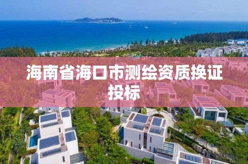 海南省海口市測繪資質換證投標