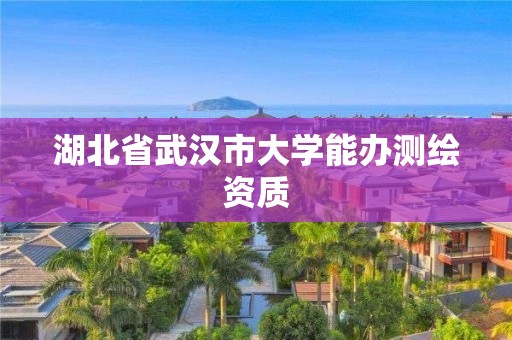 湖北省武漢市大學(xué)能辦測(cè)繪資質(zhì)