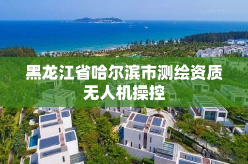 黑龍江省哈爾濱市測繪資質無人機操控