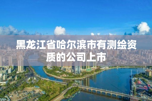 黑龍江省哈爾濱市有測繪資質的公司上市