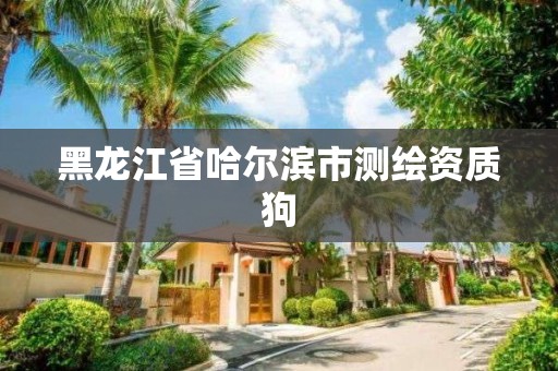 黑龍江省哈爾濱市測繪資質狗