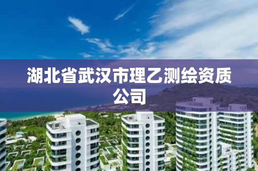 湖北省武漢市理乙測繪資質(zhì)公司