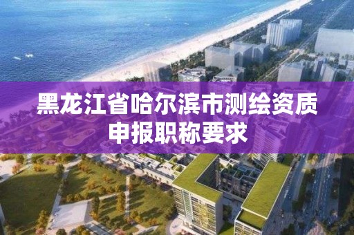 黑龍江省哈爾濱市測繪資質申報職稱要求