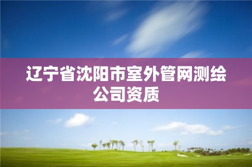 遼寧省沈陽市室外管網測繪公司資質