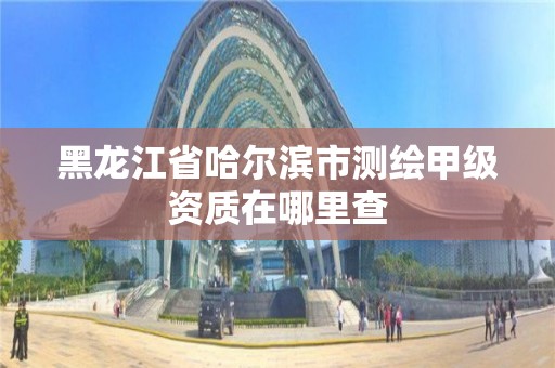 黑龍江省哈爾濱市測繪甲級資質(zhì)在哪里查